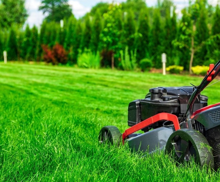 koszenie trawy