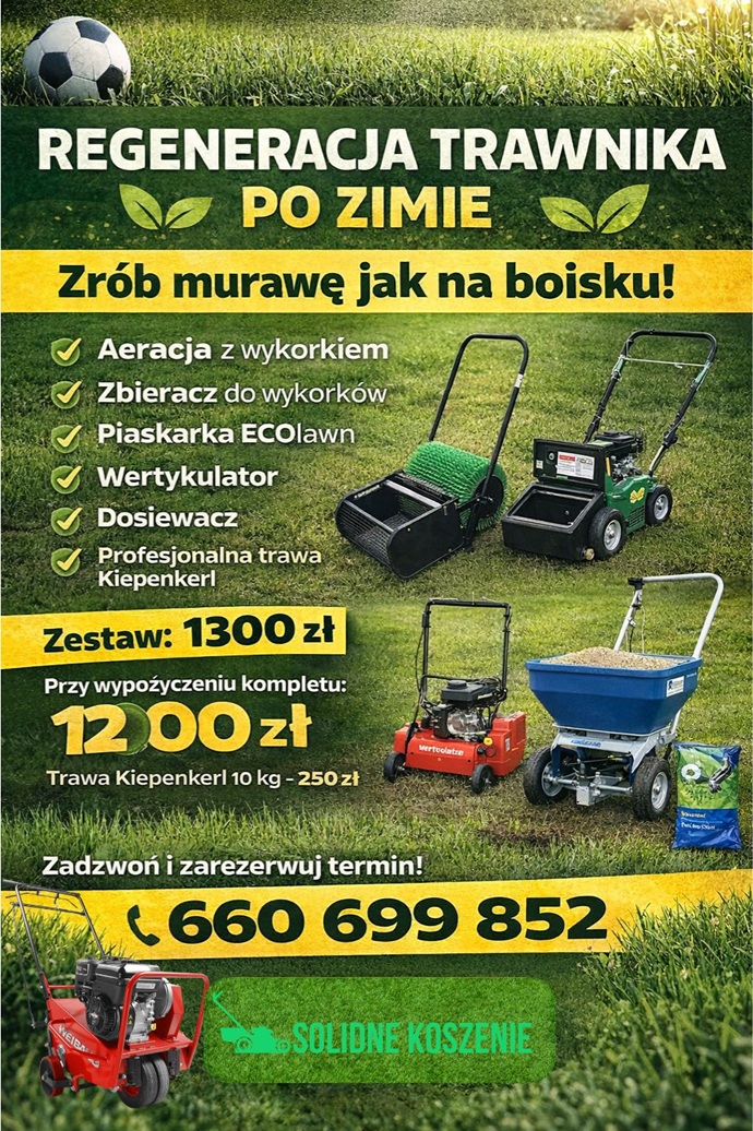Regeneracja trawnika po zimie